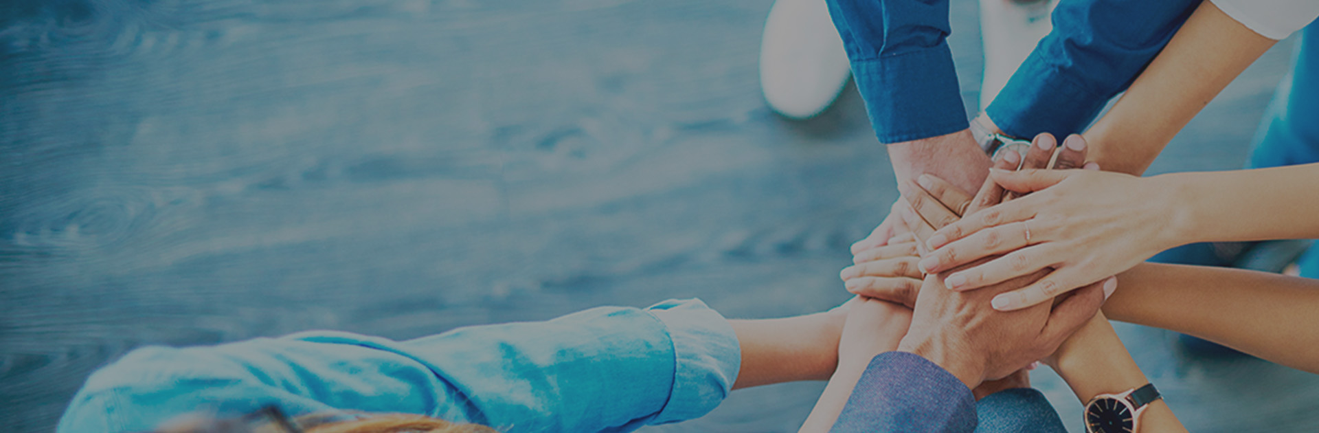 0029cc金沙贵宾会优势