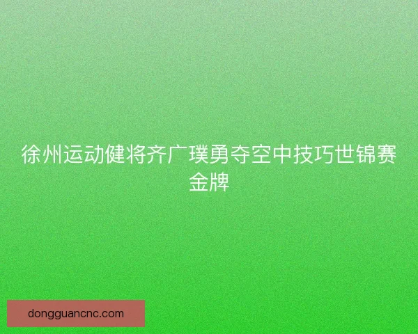 徐州运动健将齐广璞勇夺空中技巧世锦赛金牌