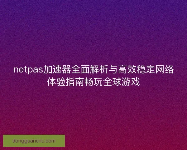 netpas加速器全面解析与高效稳定网络体验指南畅玩全球游戏