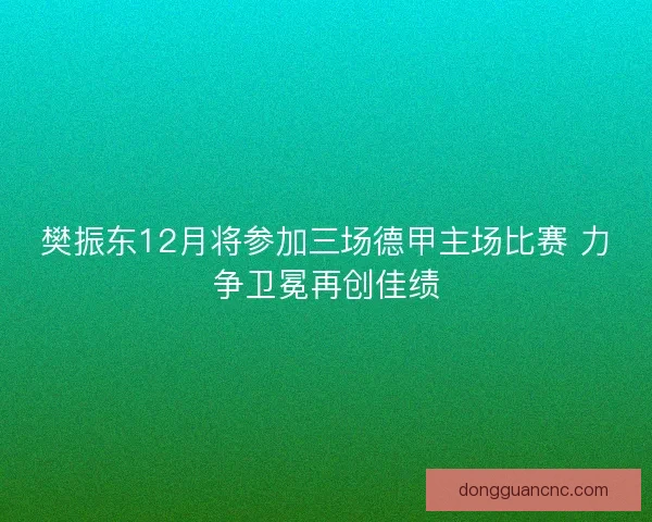 樊振东12月将参加三场德甲主场比赛 力争卫冕再创佳绩