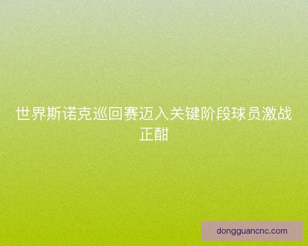世界斯诺克巡回赛迈入关键阶段球员激战正酣