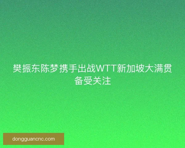 樊振东陈梦携手出战WTT新加坡大满贯备受关注