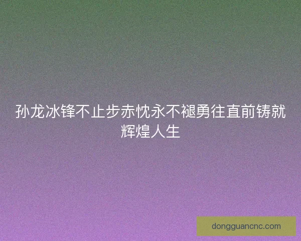 孙龙冰锋不止步赤忱永不褪勇往直前铸就辉煌人生