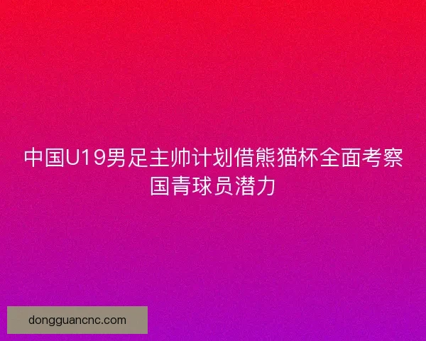 中国U19男足主帅计划借熊猫杯全面考察国青球员潜力